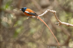 website-DSC_0036-2-nr