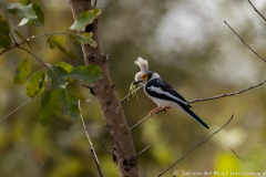 website-DSC_3960-nr-nr