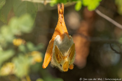 website-DSC_4403-nr-nr