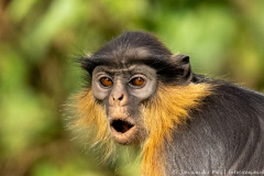 website-DSC_4736-nr-2-nr