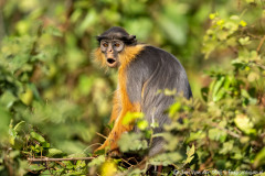 website-DSC_4736-nr-nr