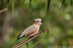 website-DSC_5625.NEF-12-nr