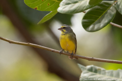 website-DSC_6012.NEF-12-nr