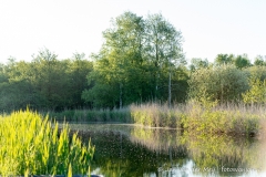 Naardermeer
